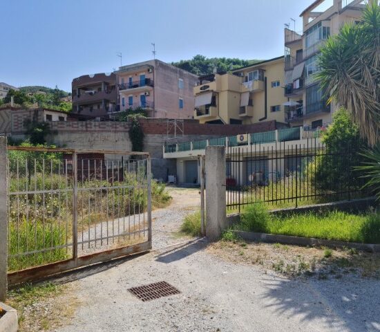 Proprietà Immagine in primo piano