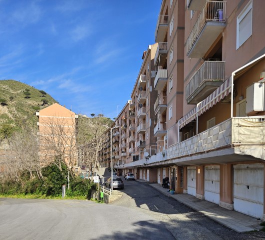 Proprietà Immagine in primo piano