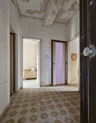 Proprietà Immagine in primo piano