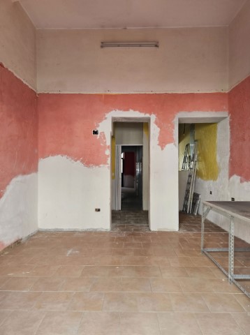 Proprietà Immagine in primo piano